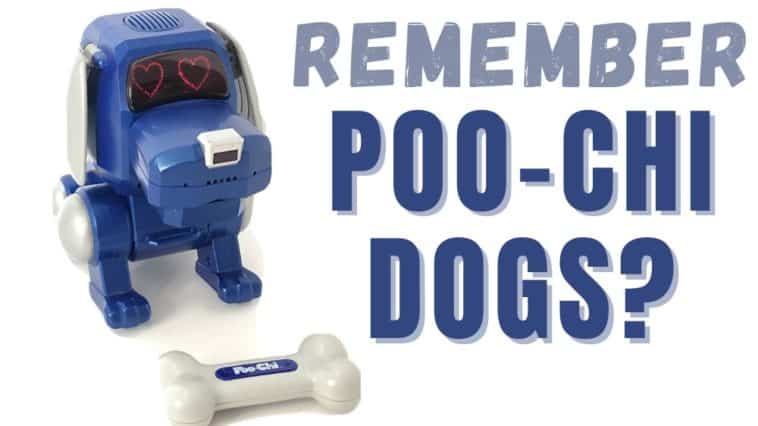 Poo-Chi The Robot Dog Toy From the 2000s