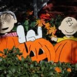 Best It's The Great Pumpkin Charlie Brown Quotes