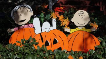 Best It's The Great Pumpkin Charlie Brown Quotes