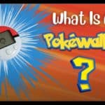What Is A Pokewalker?