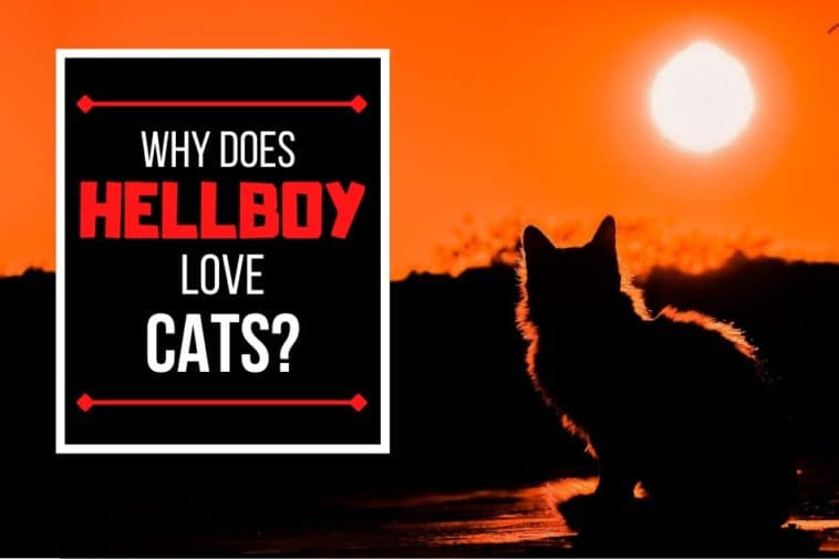 Why Does Hellboy Like Cats?