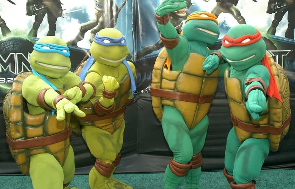 What Colors Are The Teenage Mutant Ninja Turtles? (TMNT Names and Colors)
