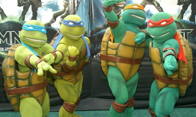 What Colors Are The Teenage Mutant Ninja Turtles? (TMNT Names and Colors)