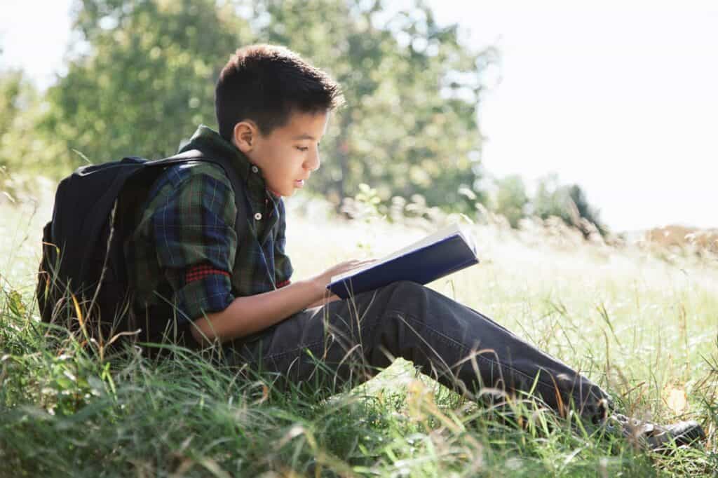 Teenager Reading a Hardy Boys Book