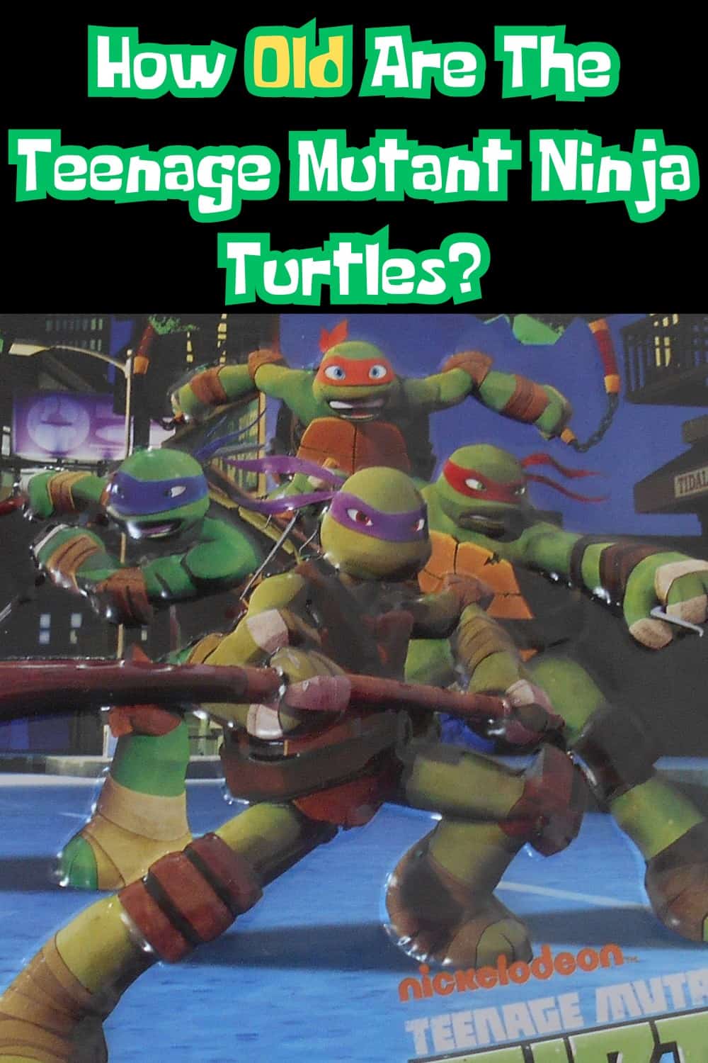 The Ninja Turtles are between 15 years and 17 years of age